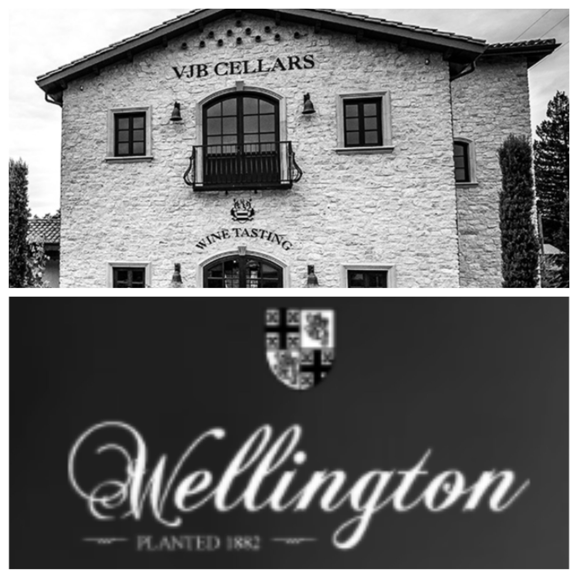 VIP Wine Tasting at VJB Cellars and Wellington Cellars