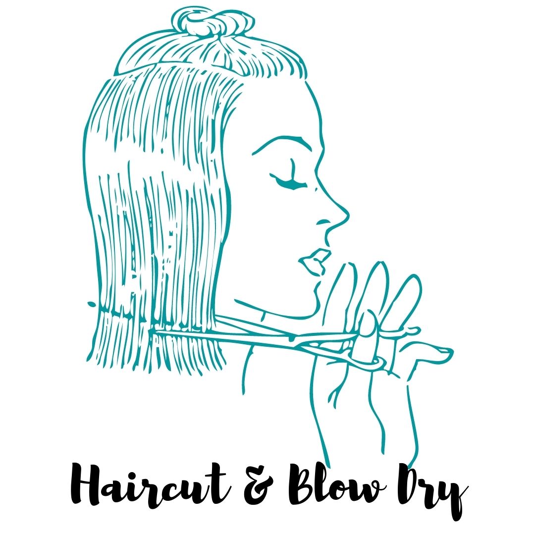 The Hair Stylist - Haircut with Shampoo and Blowout