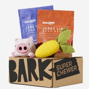 Super Chewer box for dogs